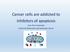 Cancer cells are addicted to inhibitors of apoptosis. Jean-Pierre Abastado Institut de Recherches Internationales Servier
