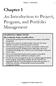 Chapter 1 An Introduction to Project, Program, and Portfolio Management
