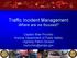 Traffic Incident Management Where are we focused? Captain Mike Prochko Arizona Department of Public Safety Highway Patrol Division mprochko@azdps.