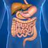 Digestive System Why is digestion important? How is food digested? Physical Digestion and Movement