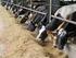 Dairy Margin Protection Program of the 2014 Farm Bill
