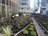 Green Roofs: Restoring Urban Landscapes One Roof at a Time