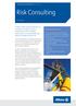 Risk Consulting. At a Glance