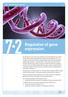 7. 2. Regulation of gene expression. Unit 7: Molecular biology and genetics