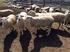 ... Guidelines for Estimating Lamb Production Costs Based on a 500-Ewe Flock