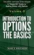 Introduction To Stock Options: The Basics. Mark D. Wolfinger