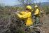 US Forest Service Region 5. Guide to Incident Hired Equipment. Updated. July 19, 2012