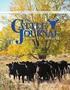 FUTURES TRADING OF LIVE BEEF CATTLE (HEDGING) by Clarence C. Bowen