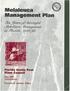 MELALEUCA MANAGEMENT PLAN TEN YEARS OF SUCCESSFUL MELALEUCA MANAGEMENT IN FLORIDA 1988-1998 FLORIDA EXOTIC PEST PLANT COUNCIL
