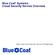 Blue Coat Systems Cloud Security Service Overview. Blue Coat Cloud Security Service (ThreatPulse)
