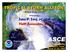 TROPICAL STORM ALLISON. Prepared by: John P. Ivey, PE, CFM Halff Associates, Inc. ASCE