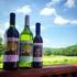 Developing a business plan for your winery