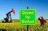 The Economic Impact of the Biodiesel Industry on the U.S. Economy