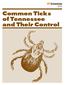 Common Ticks of Tennessee and Their Control PB 726