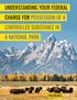 UNDERSTANDING YOUR FEDERAL CHARGE FOR POSSESSION OF A CONTROLLED SUBSTANCE IN A NATIONAL PARK