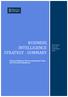 BUSINESS INTELLIGENCE STRATEGY - SUMMARY