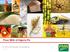 Flour Mills of Nigeria Plc H1 2013/14 Results Presentation
