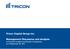 Tricon Capital Group Inc. Management Discussion and Analysis