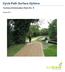 Cycle Path Surface Options