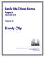Sandy City Citizen Survey Report. December 2014. Prepared for. Sandy City. Lighthouse Research & Development, Inc. www.go-lighthouse.com 801.446.