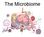 Definition: What is the Microbiome- A Big Picture