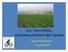 U.S. Farm Policy: Overview and Farm Bill Update. Jason Hafemeister 12 June 2014. Office of the Chief Economist. Trade Bureau