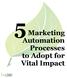 Marketing Automation Processes to Adopt for Vital Impact