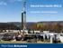 Natural Gas. Shale Gas Impacts. Natural Gas Liquids (NGLs) Dan Brockett Penn State Extension