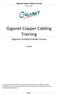 Giganet Copper Cabling Training
