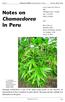 Notes on Chamaedorea in Peru