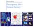Department of Public Safety, Division of Homeland Security and Emergency Management. Emergency Alert System Survey