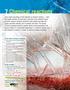 7 Chemical reactions