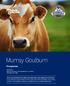 Murray Goulburn Prospectus