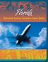 Overview of Aviation s Economic Impact in Florida