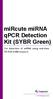 mircute mirna qpcr Detection Kit (SYBR Green)