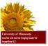 University of Minnesota Voucher and Journal Imaging Guide for ImageNow 6.2