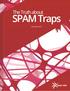 Chapter 1: What are SPAM traps?... 2. The logic behind SPAM traps... 2. Definitions of the types of SPAM traps... 3