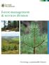 forest management & services division