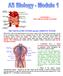 THE CIRCULATORY SYSTEM and the LYMPHATIC SYSTEM
