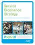 Service Excellence Strategy