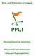 Pitch and Putt Union of Ireland
