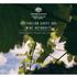 AUSTRALIAN GRAPE AND WINE AUTHORITY STRATEGIC PLAN 2015 2020