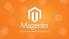 Magento at the Core of ecommerce. The Magento Experience. Magento Enables Success. The ecommerce Ecosystem. Supplemental Pages