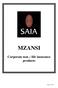 MZANSI Corporate non life insurance products