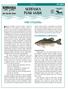 NEBRASKA POND GUIDE. Properly stocking a pond can make a world of FISH STOCKING RECOMMENDED COMBINATION TIP SHEET PG13-3