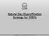 Natural Gas Diversification Strategy for PREPA GOVERNMENT DEVELOPMENT BANK FOR PUERTO RICO