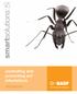 smartsolutions controlling and preventing ant infestations BASF Pest Control Solutions The Evolution of Better Pest Control
