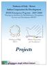 Projects. ROSS Emergency Program - 2007/2008 Emergency Initiative for Rehabilitation, Occupation, Services and Development ROSS