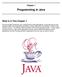 Programming in Java. What is in This Chapter? Chapter 1