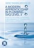 A MODERN APPRENTICESHIP IN PLUMBING SVQ LEVEL 3 GUIDE TO THE TERMS, CONDITIONS & REQUIREMENTS OF TRAINING FOR EMPLOYERS & APPRENTICES